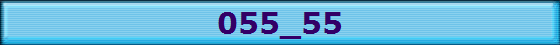 055_55