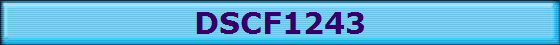 DSCF1243