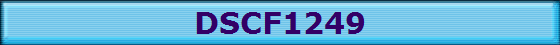 DSCF1249