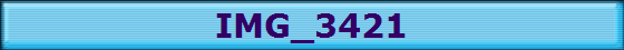 IMG_3421