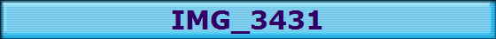 IMG_3431