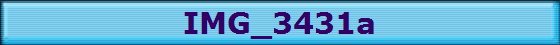 IMG_3431a